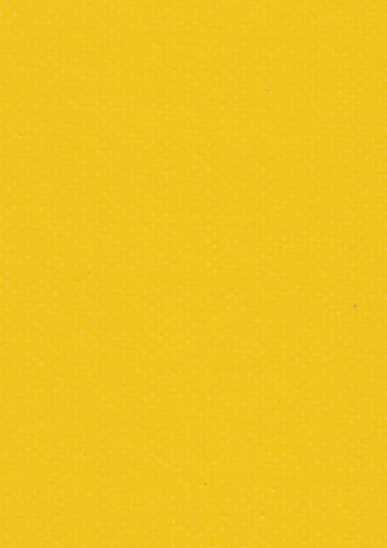 トラックシート素材yellow